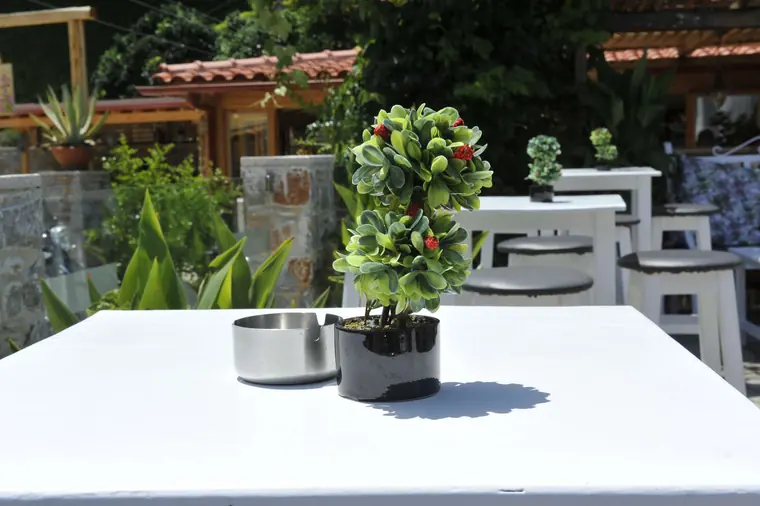 A table ready for coffee