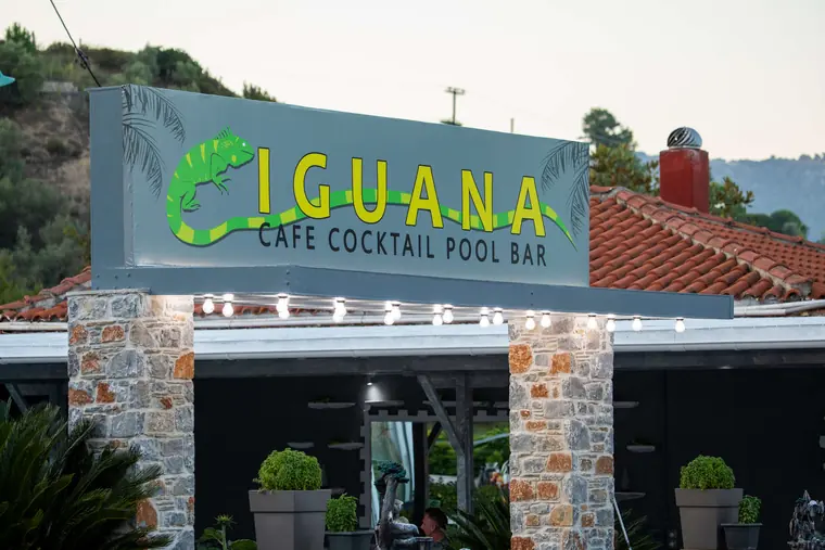 The Iguana cafe · cocktail · pool bar sign